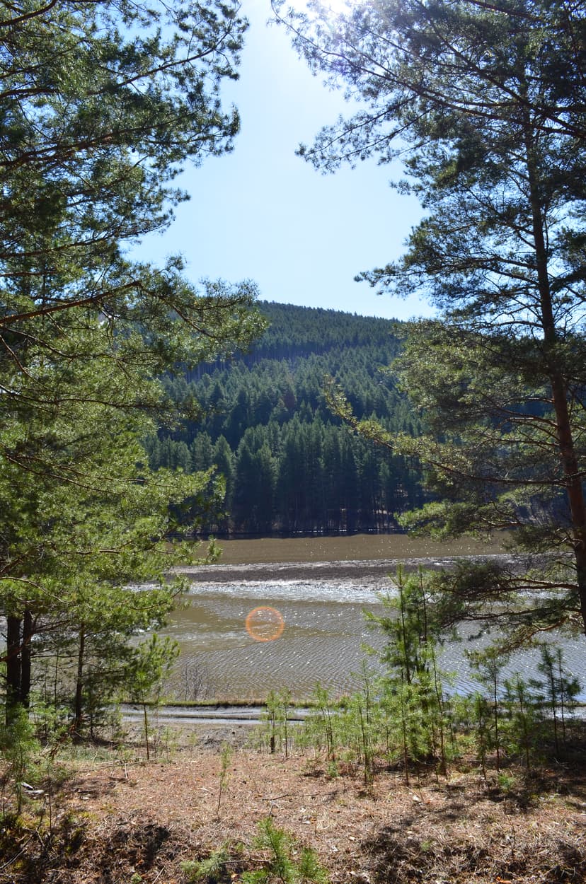 Территория глэмпинга Yaratam Camp